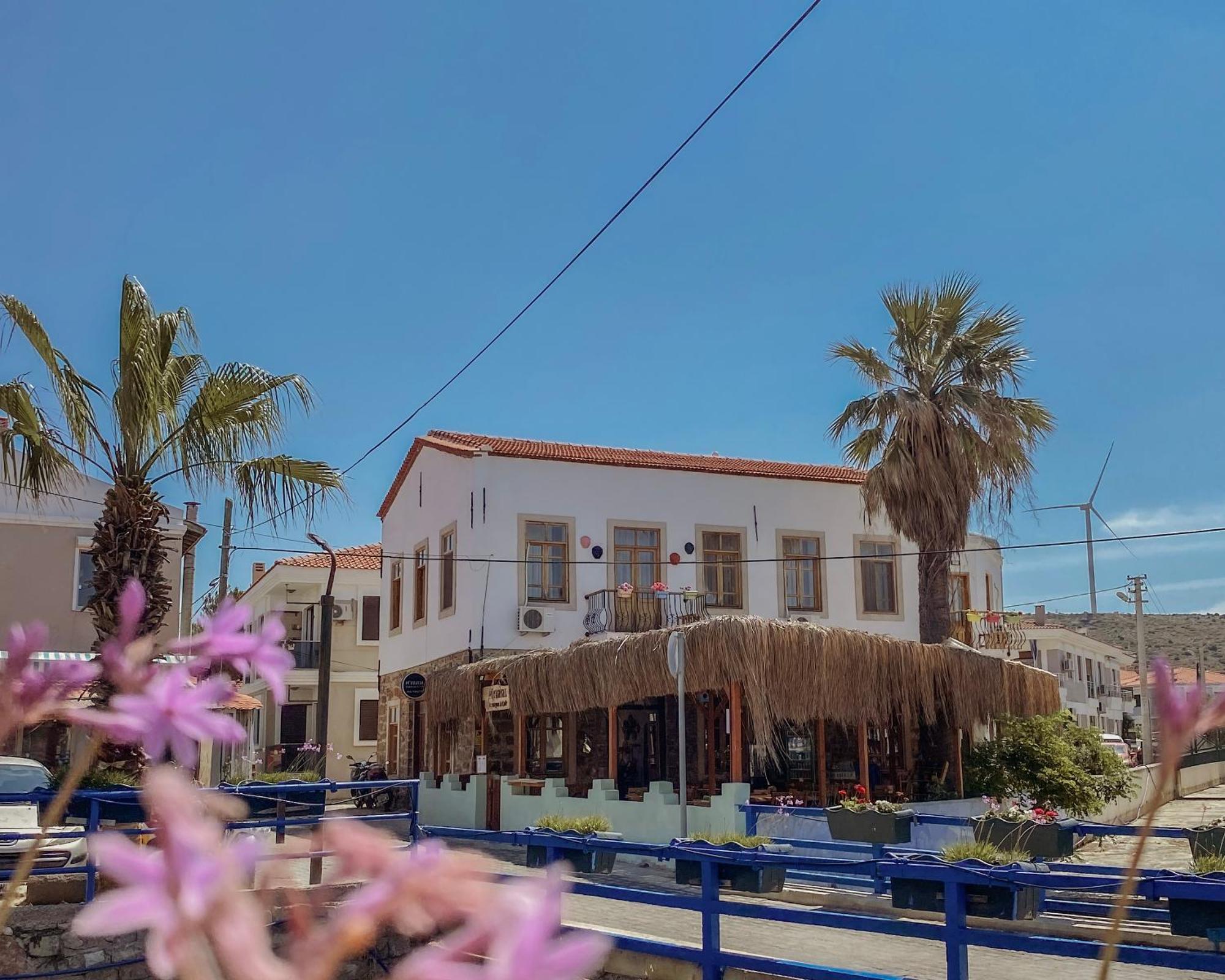 Cesme Puerhayal Pansiyon Eksteriør billede